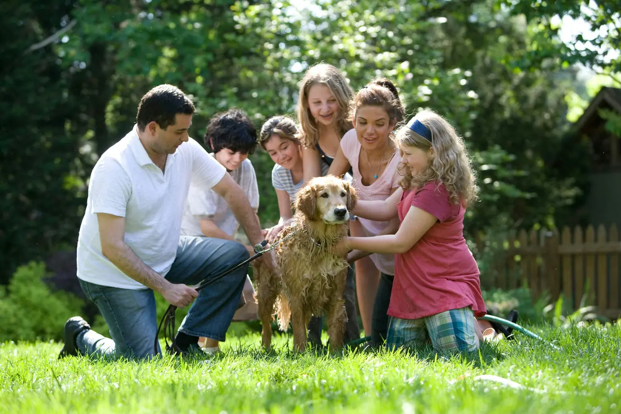A family gathers on a sunny lawn to bathe a wet golden retriever together while one adult holds its leash