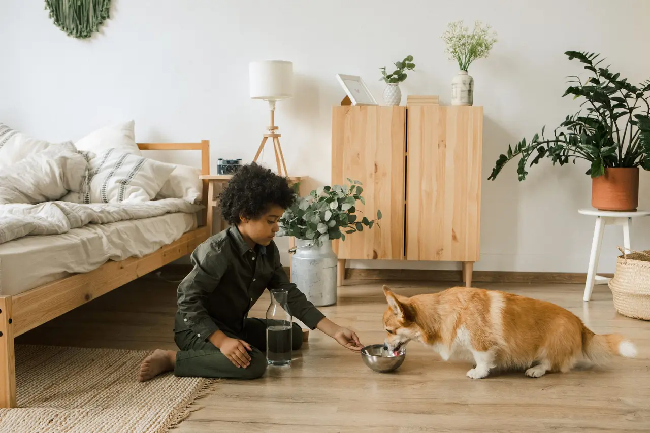 A boy sits on a bedroom floor next to a glass carafe and holds a steel bowl while a corgi drinks from it