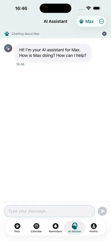 Pettify app - AI Assistant chat interface