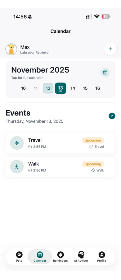 Pettify app - Calendar view with events and appointments