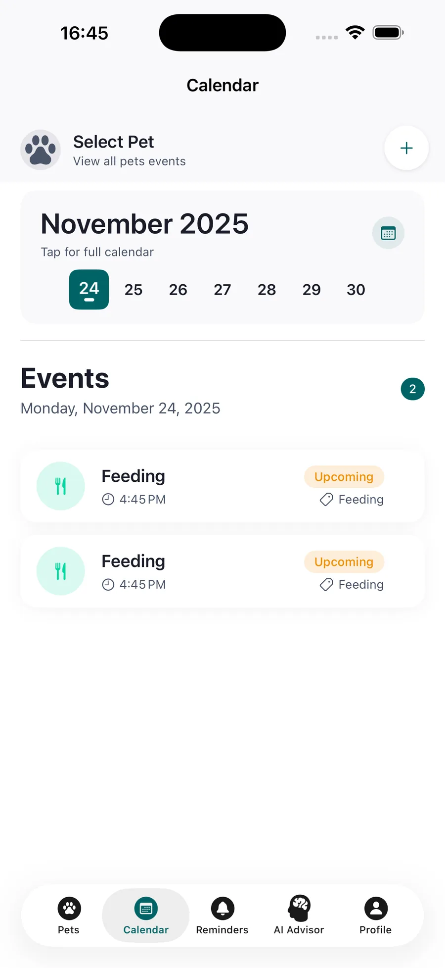 Приложение Pettify — календарь с событиями и визитами