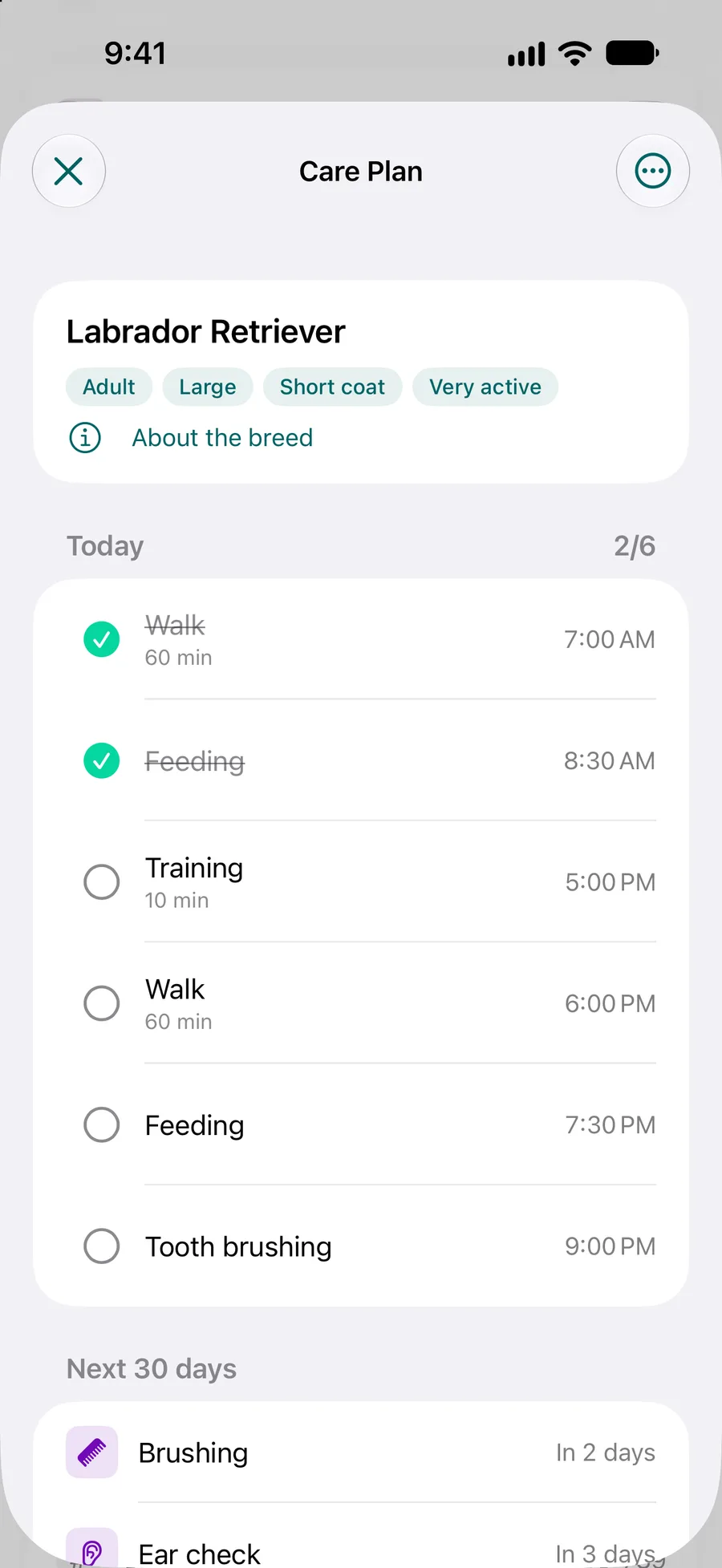 App Pettify: schermata Piano di cura con le attività di oggi