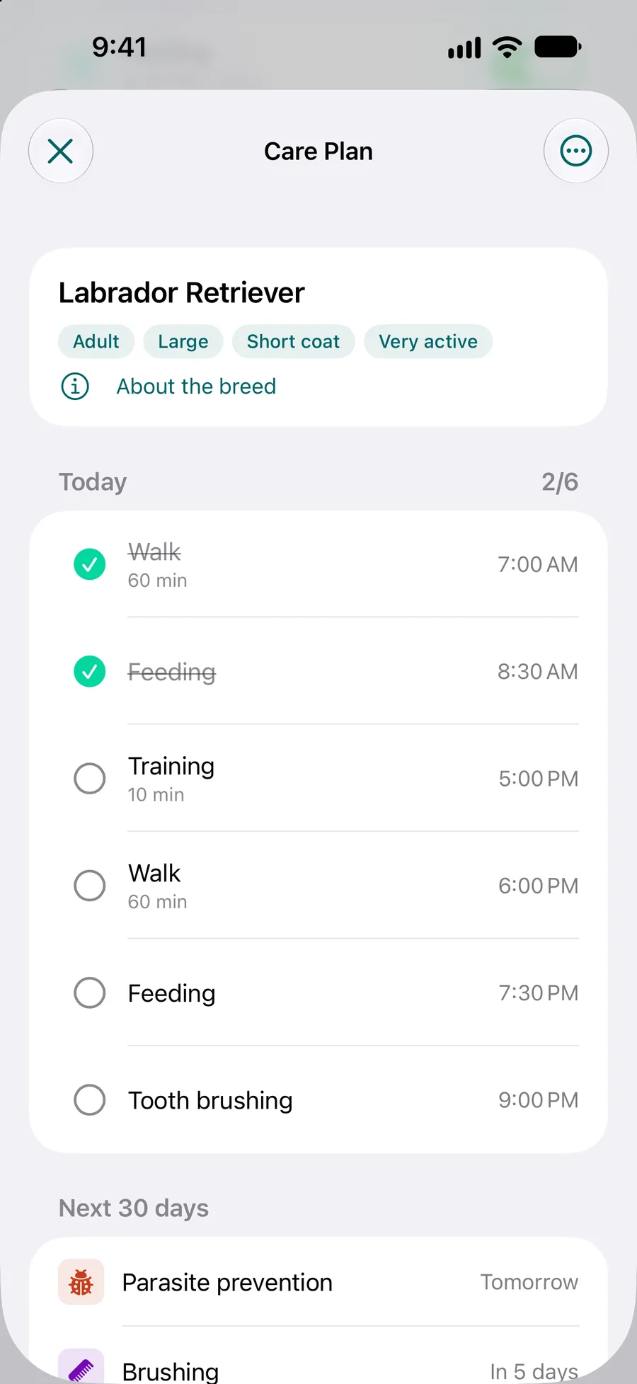 Pettify app - Care Plan of a Labrador Retriever with today’s tasks and the next 30 days