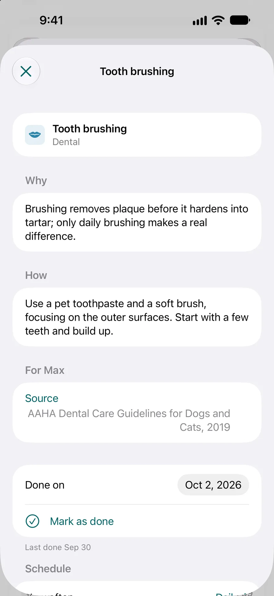 App Pettify: attività del piano di cura con il perché, il come e la fonte