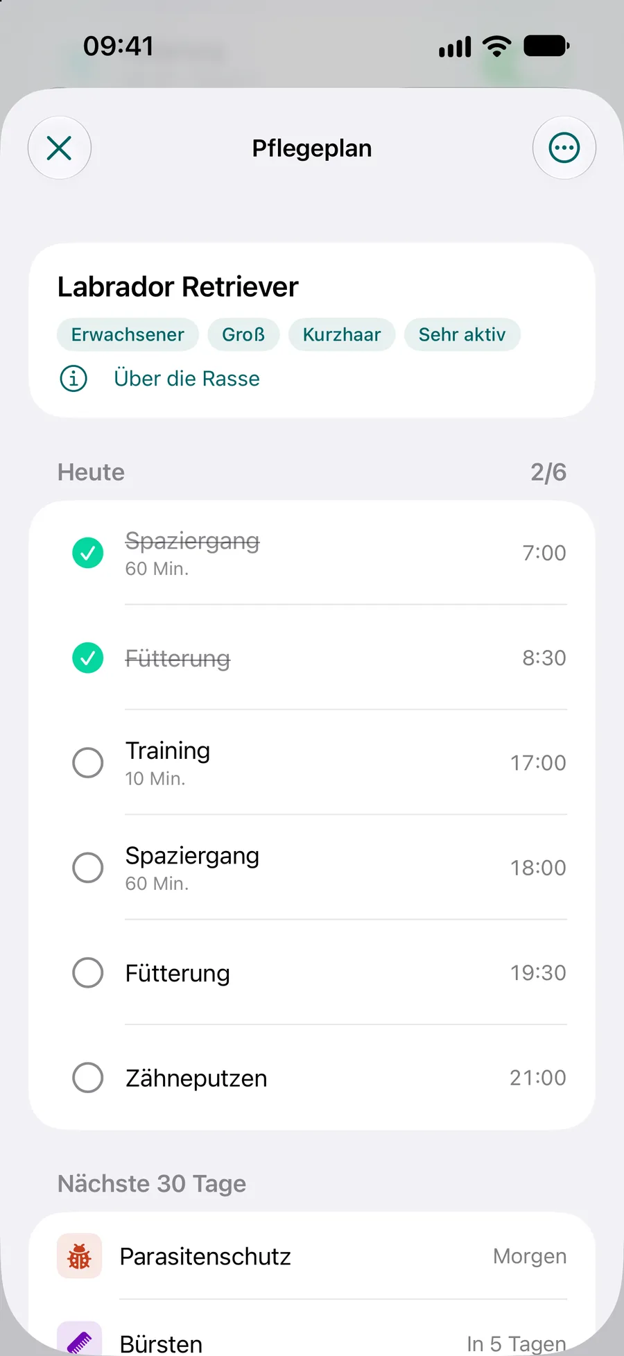 Pettify-App – Pflegeplan eines Labrador Retrievers mit den Aufgaben für heute und den nächsten 30 Tagen