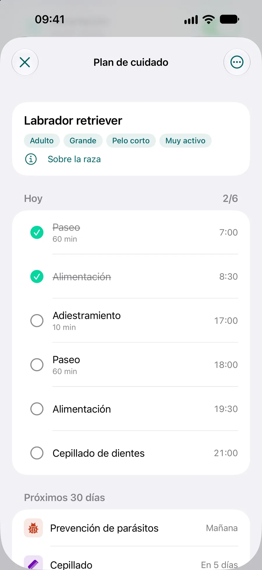 App Pettify: plan de cuidados de un labrador retriever con las tareas de hoy y los próximos 30 días