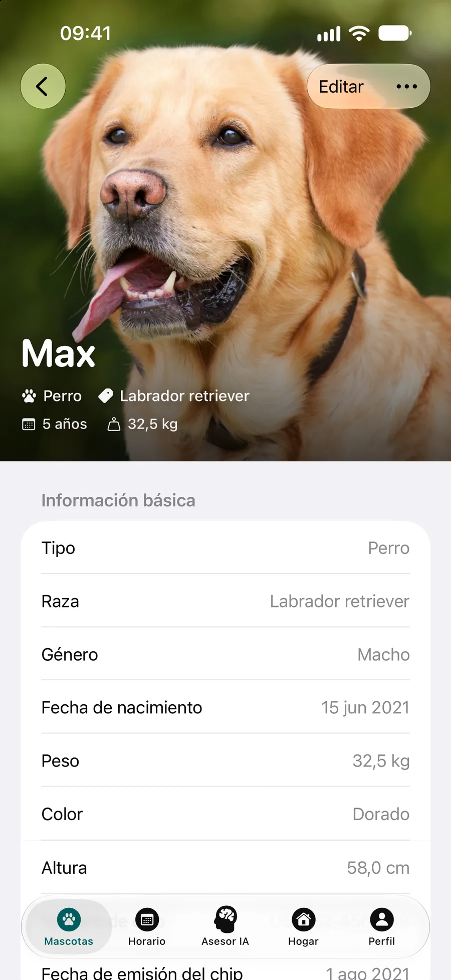 App Pettify: perfil de Max, un labrador retriever, con la información básica