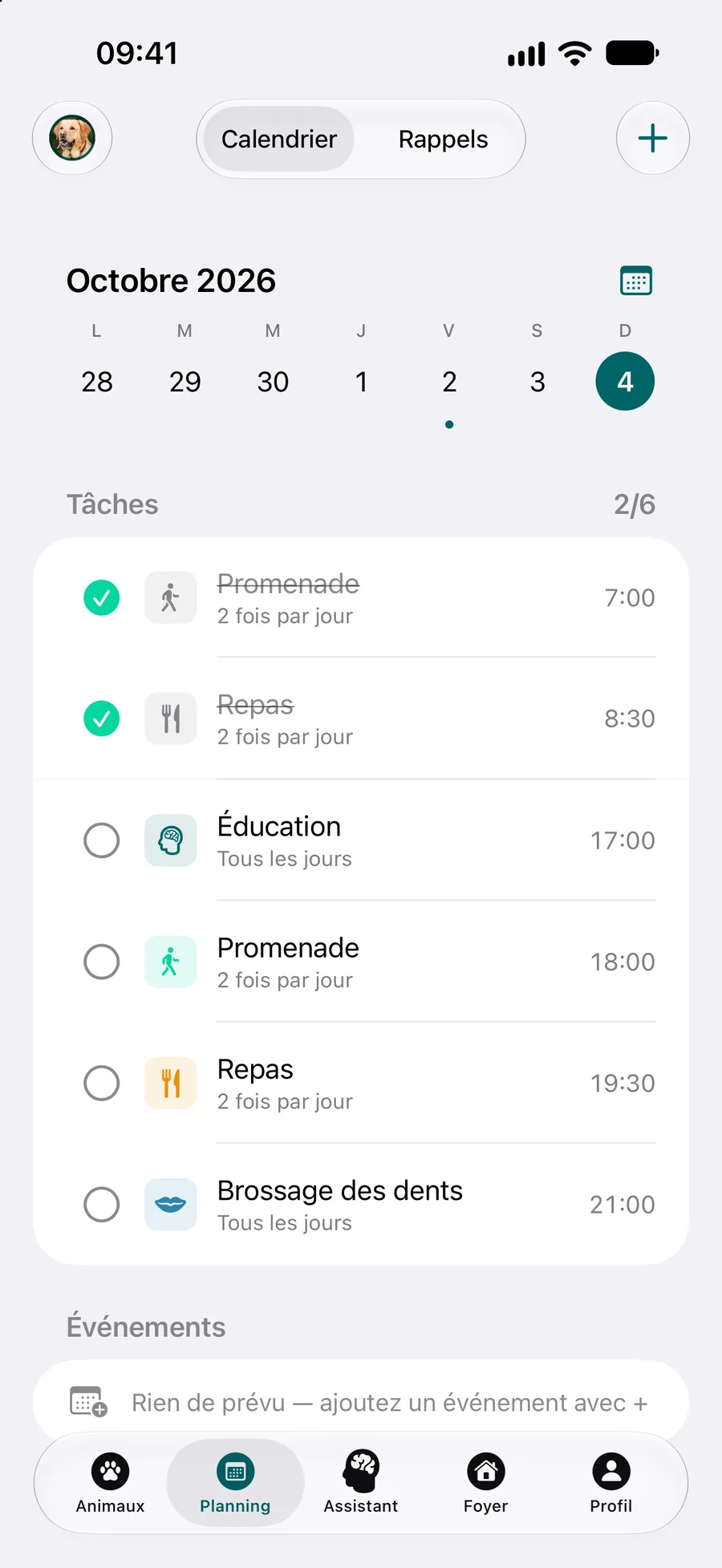 App Pettify : calendrier avec les tâches de soin du jour, dont deux cochées