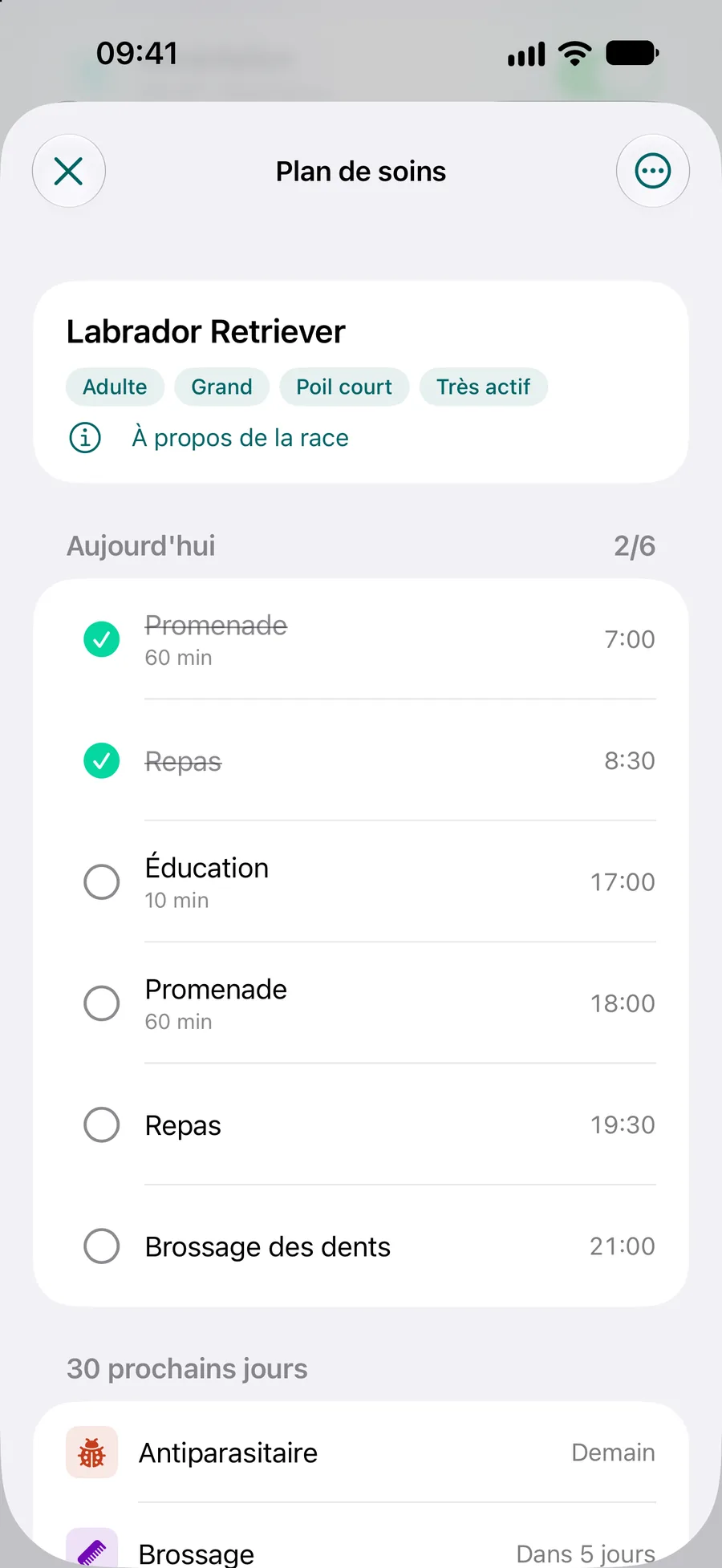 App Pettify : plan de soins d’un labrador retriever avec les tâches du jour et les 30 prochains jours