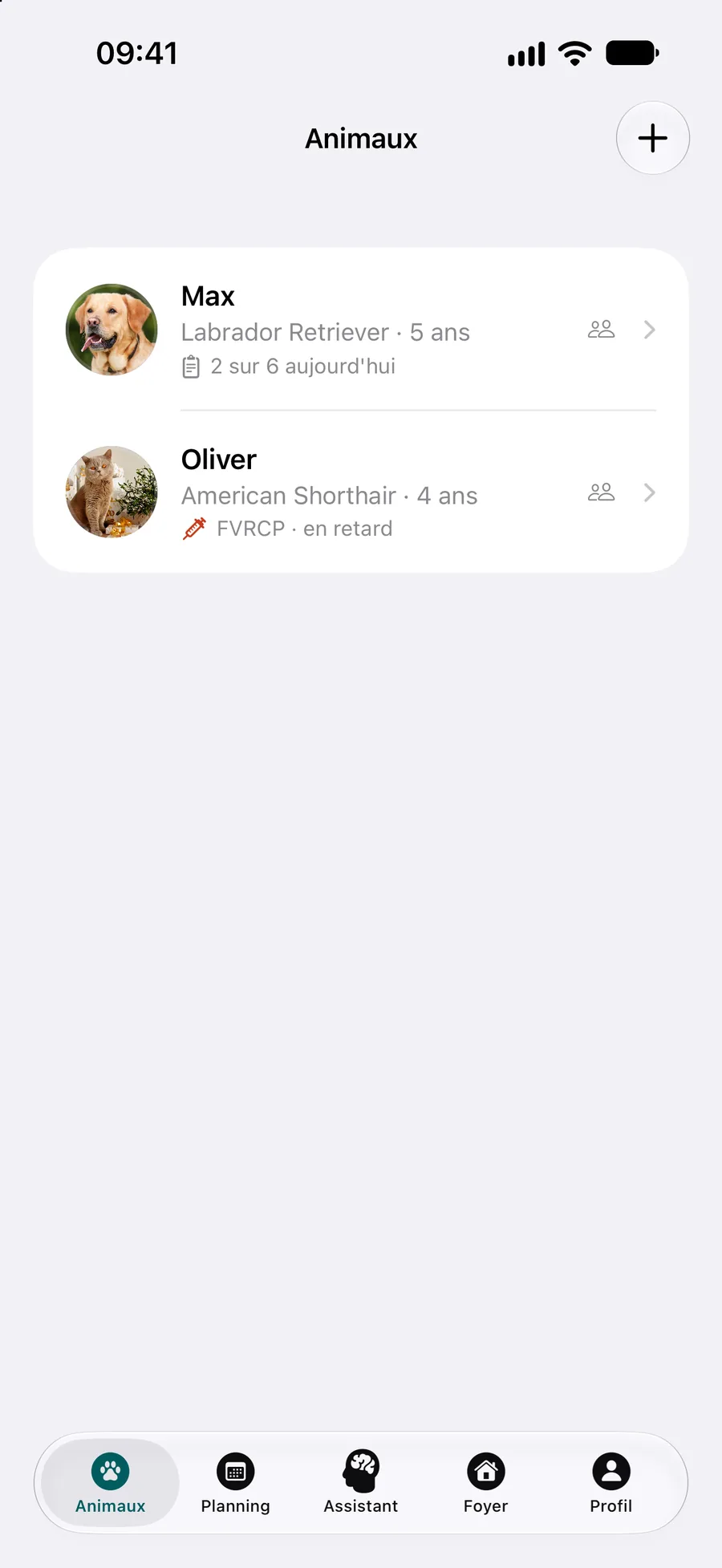 App Pettify : liste des animaux où le vaccin FVRCP du chat est signalé en retard