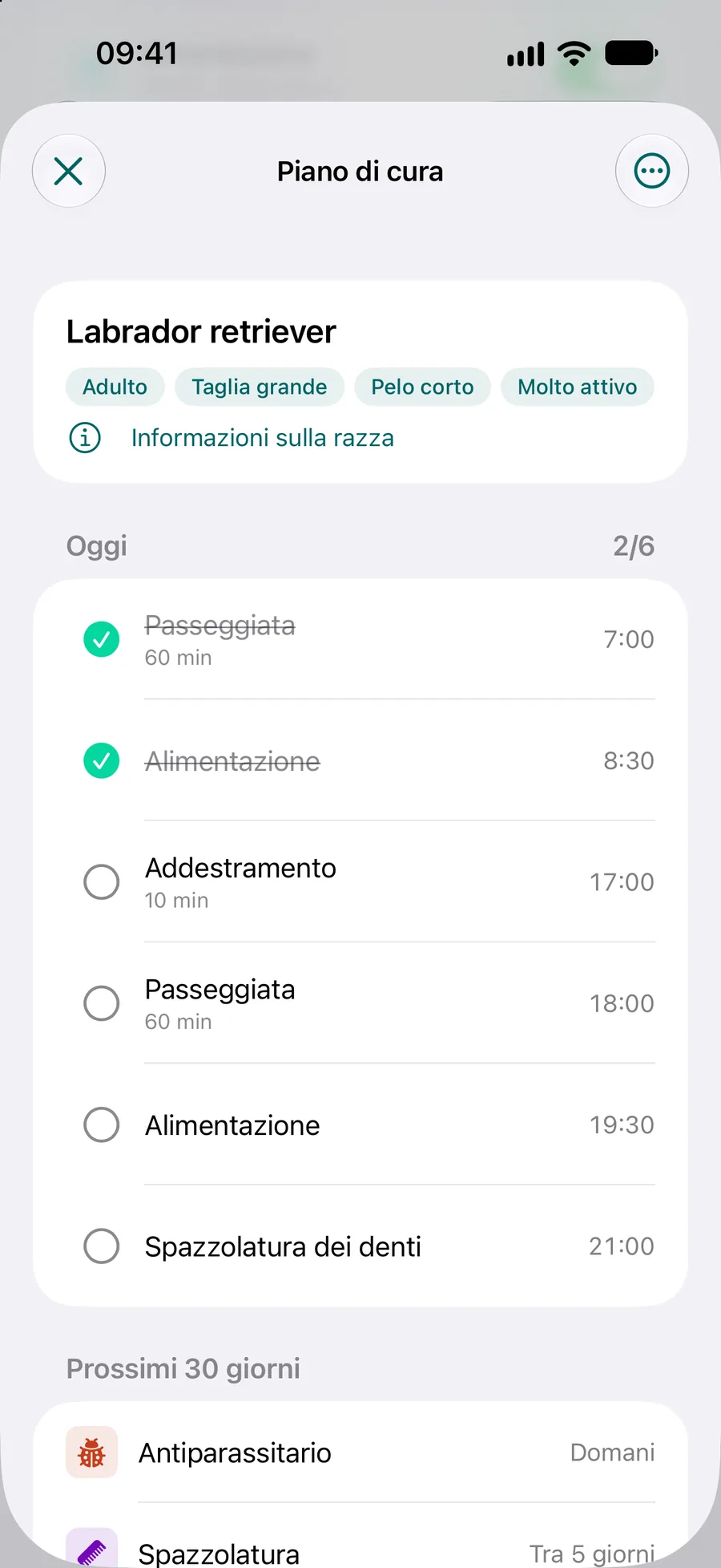 App Pettify: piano di cura di un labrador retriever con le attività di oggi e dei prossimi 30 giorni