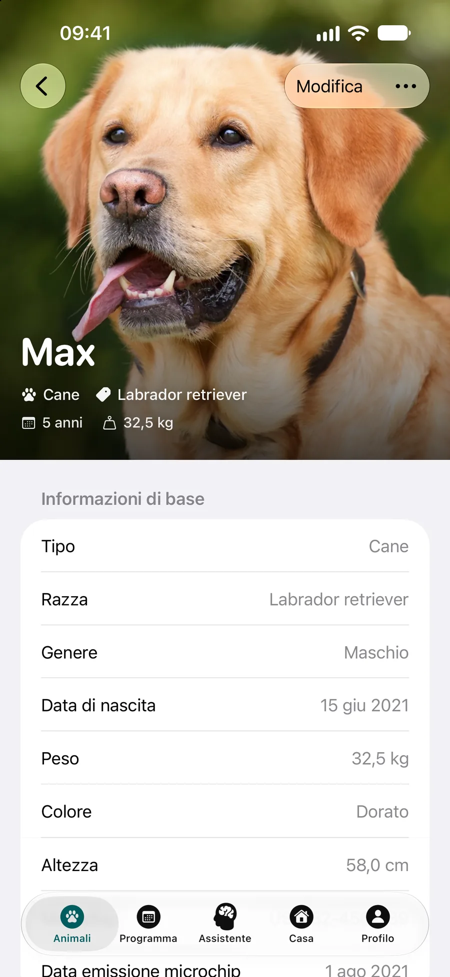 App Pettify: profilo di Max, un Labrador retriever, con le informazioni di base