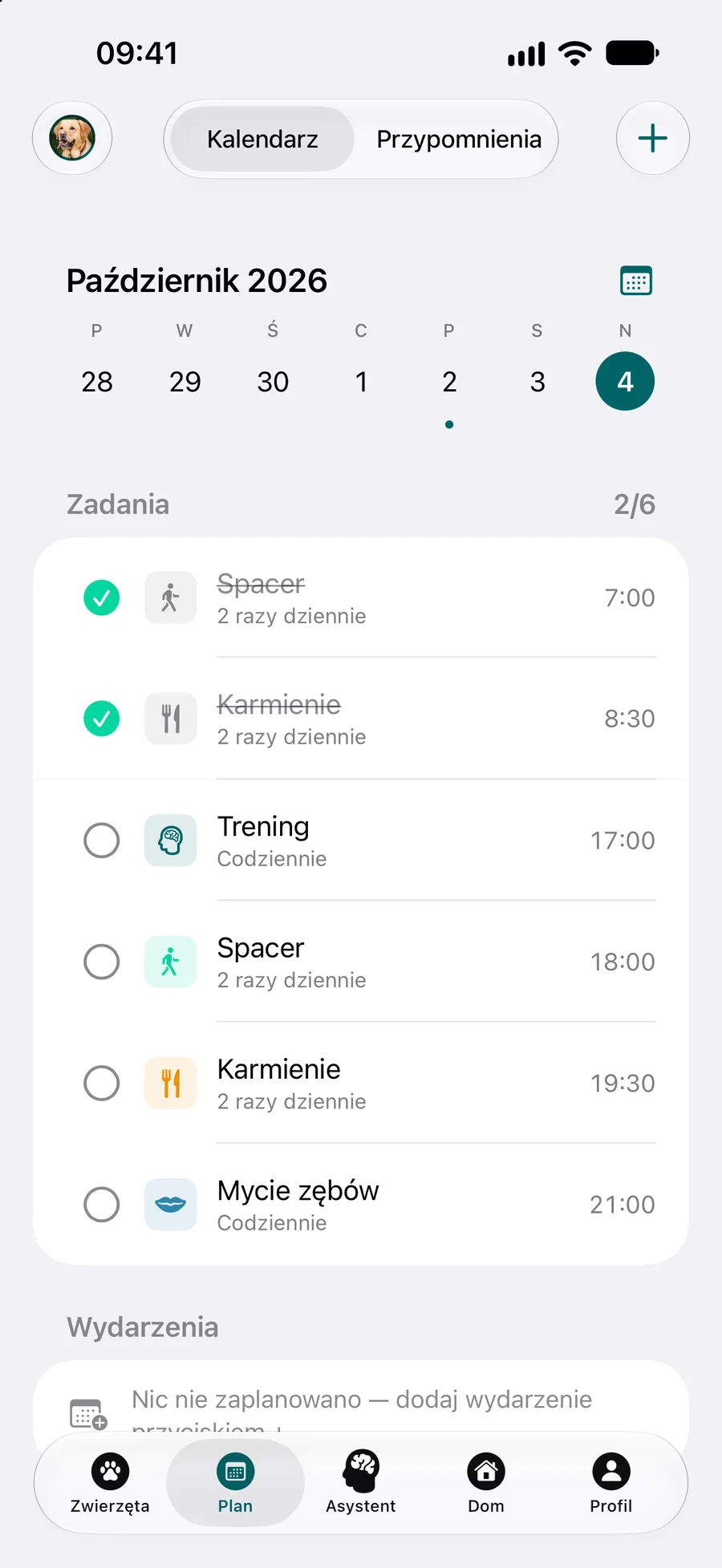 Aplikacja Pettify – kalendarz z dzisiejszymi zadaniami opieki i ich godzinami