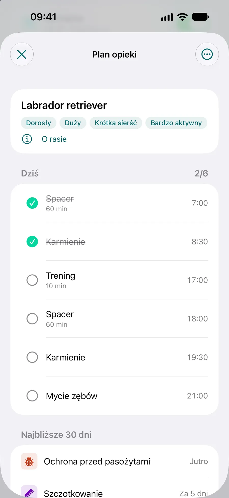 Aplikacja Pettify – plan opieki labradora retrievera z zadaniami na dziś i na najbliższe 30 dni