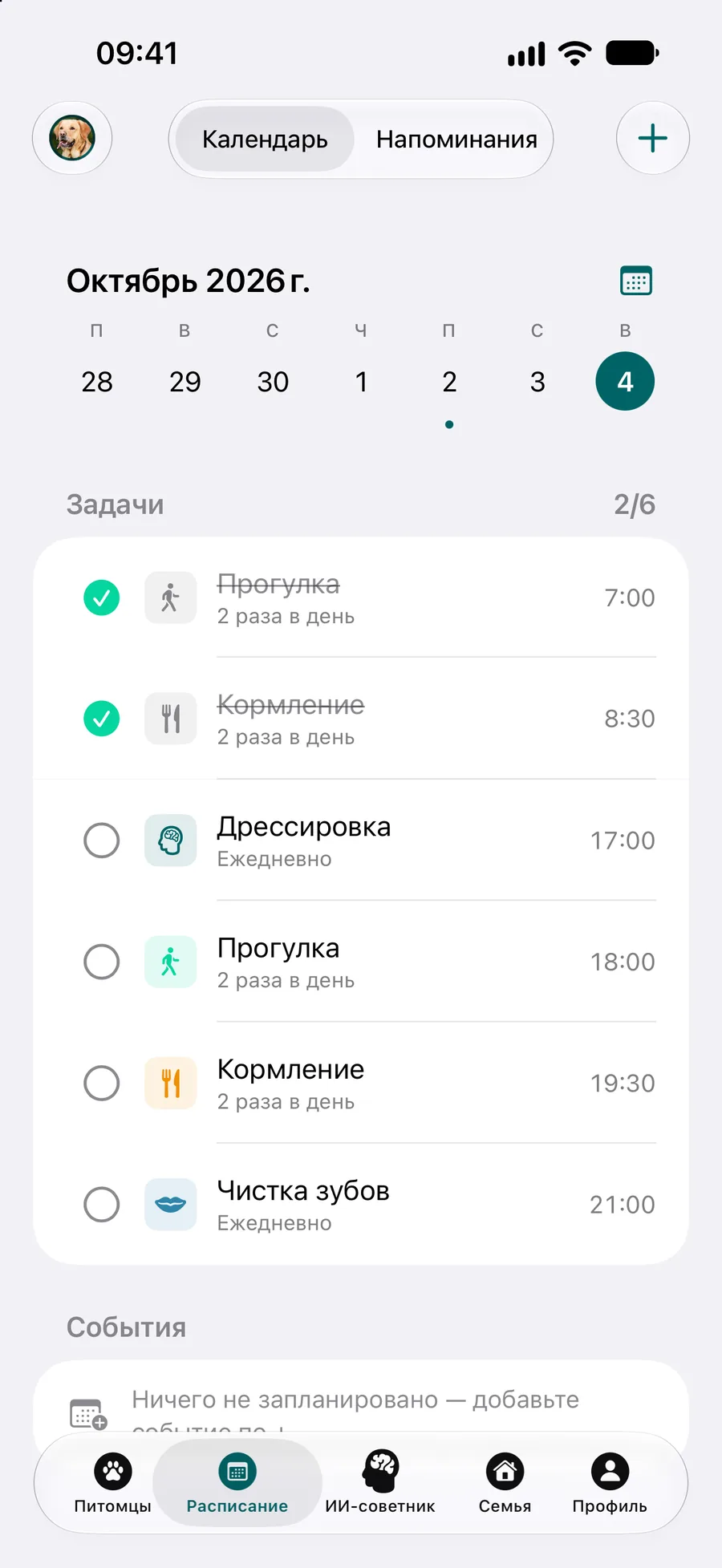 Приложение Pettify — календарь с задачами ухода на сегодня и их временем