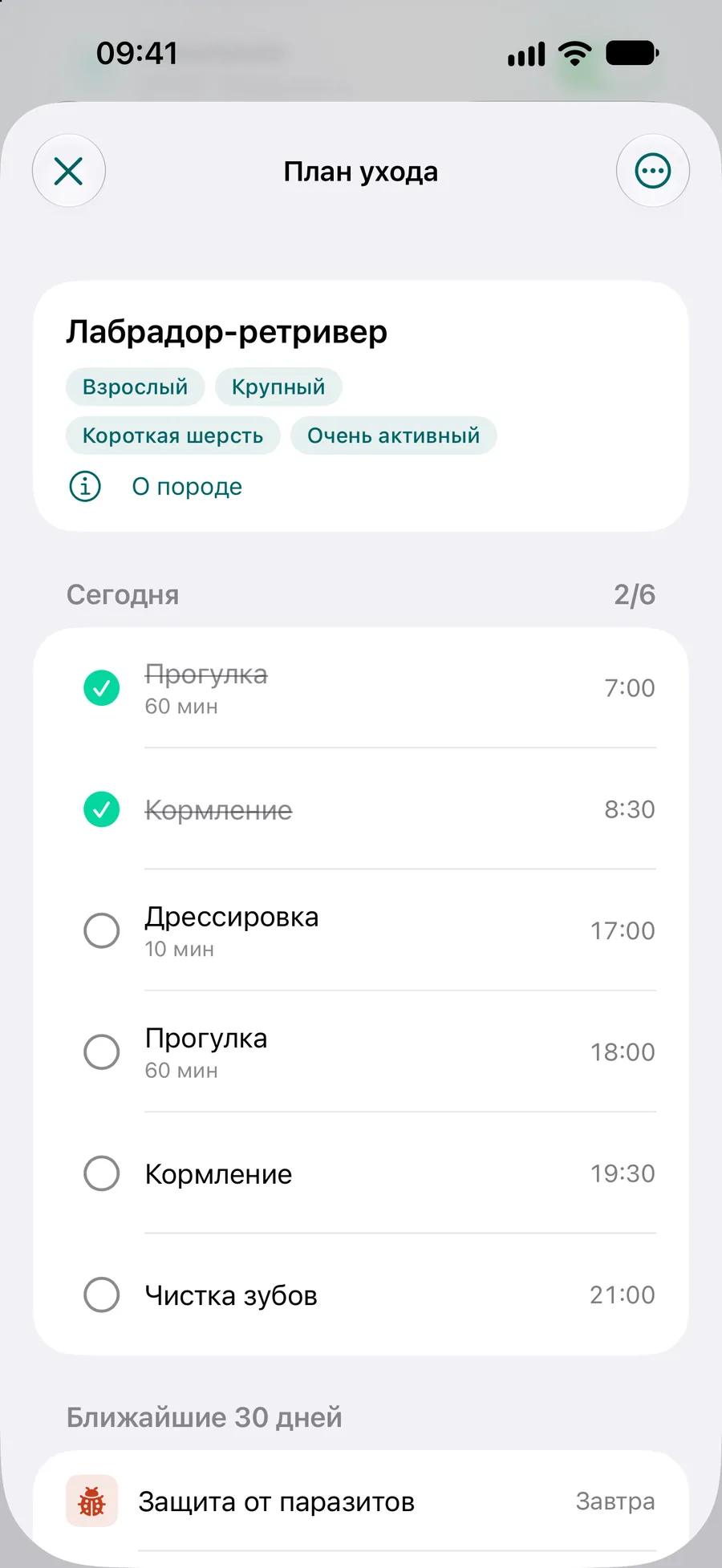 Приложение Pettify — план ухода за лабрадором-ретривером: задачи на сегодня и на ближайшие 30 дней