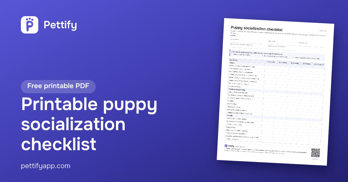 Puppy Socialization Checklist by Age (Free PDF) | Pettify